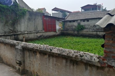 80m² đất thổ cư Đan Nhiễm, TT Văn Giang giá rẻ nhất khu