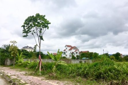 KHU ĐÔ THỊ MỚI NEW CITY PHỐ NỐI HƯNG YÊN
