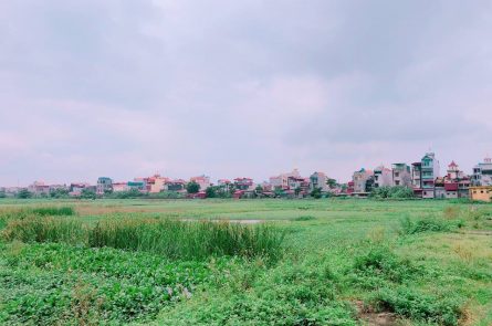 Cần chuyển nhượng lại mảnh đất mới đấu giá xong khu A