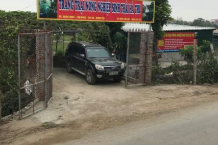 BÁN TRẠI SINH THÁI HÀ THU, TÂN PHÚC, ÂN THI