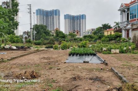 BÁN ĐẤT ĐẤU GIÁ PHỤNG CÔNG - VĂN GIANG