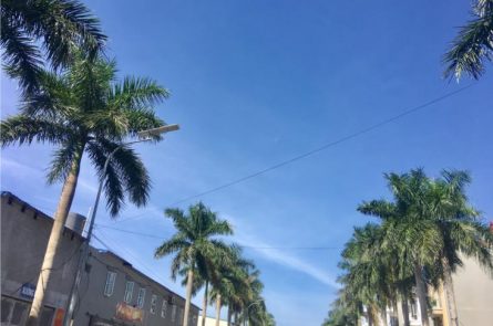 BÁN GẤP TRONG TUẦN: ĐẤT NỀN DỰ ÁN NEWCITY PHỐ NỐI KM 33, QL 39A, LIÊU TRUNG, LIÊU XÁ, YÊN MỸ, HƯNG YÊN.