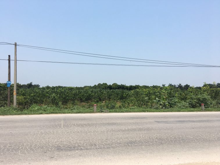Bán đất dự án huyện Văn Giang, tỉnh Hưng Yên. Mặt đường 379 diện tích 9ha.