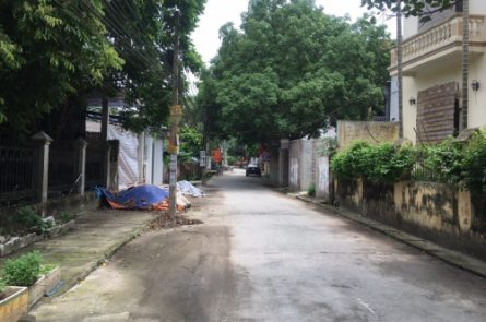 304m² tại thôn Nhạc Lộc, Trưng Trắc, Văn Lâm giá đầu tư