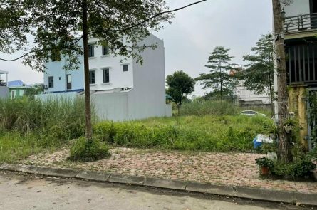 Bán duy nhất 1 lô Alk13 Newcity Phố Nối