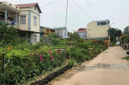 Cần bán 65m2 đất làng nghề hoa phụng công sát KĐT Ecopark