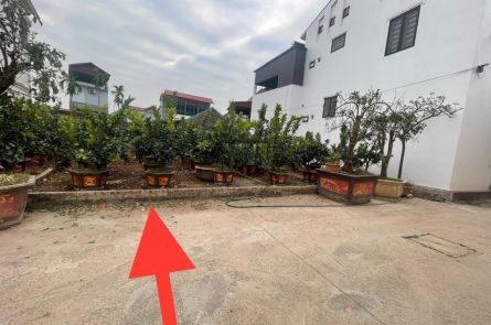 Bán 68,1m2 Vĩnh Tuy, Liên Nghĩa đường rộng 5m, 2 ô tô tránh nhau, mặt tiền 5m, hậu 5,5m