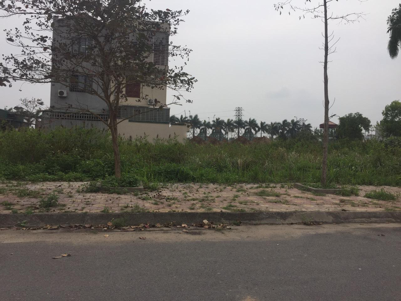Bán 100m2 đất tại khu A Newcity Phố Nối Hưng Yên