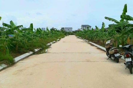 Bán đất đấu giá Sở Đông - Long Hưng - Văn Giang - Giá đầu tư