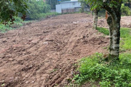 Cần bán 1200m2 đất, đường đi lại to tại Đông Tảo, giá rẻ đầu tư quá đẹp