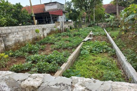 Bán 121m2 đất full thổ cư Quảng Lạc, Phú Thịnh, Kim Động, Hưng Yên