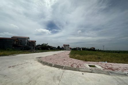 Chính chủ cần bán 2 lô đất trúng đấu giá tại Xã Vũ Xá, huyện Kim Động, tỉnh Hưng Yên