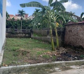 Cần bán 100m2 đất full sổ đỏ chính chủ tại Thôn Tây Thịnh, Thọ Vinh, Kim Động, Hưng Yên