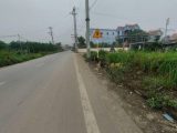 Bán lô mặt đường đấu giá Phượng Trì - Tân Tiến - Văn Giang - Hưng Yên