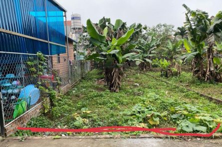 103.5 m tại Đan kim Liên nghĩa Văn giang HY, giáp Xuân Cầu, đường Đông Tây- Đường di sản Sông Hồng