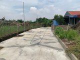 1000m2 có 1 nửa thổ cư, thích hợp phân lô xây biệt thự, ngõ ô tô tải tận đất