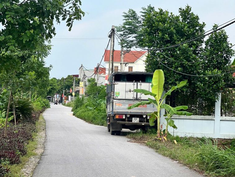 Trong khi đấu giá Tân Dân, lập đỉnh mới thì em còn lô giãn dân giá hợp lý cho NĐT