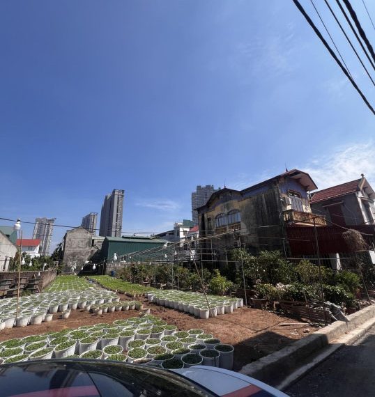Sở hữu ngay lô đất 300m2 trung tâm Xuân Quan vị trí đắc địa, tiềm năng tăng giá cao