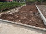 Bán đất full thổ cư 93,8m2 giá 2tỷ6xx tại Quán Trạch - Liên Nghĩa - Văn Giang