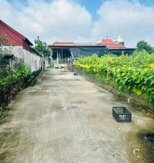 Cần bán 389m2 full thổ cư tại Văn Giang, giá chỉ 1x triệu/m2