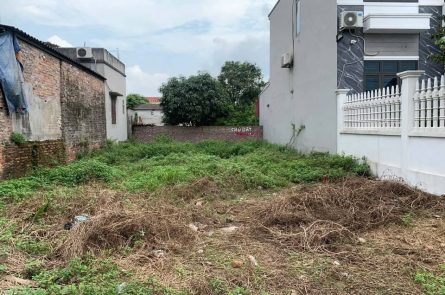 Cần bán gấp lô đất đẹp Dt 95m2 tại Phúc thọ, Hòa phong, Tx Mỹ Hào