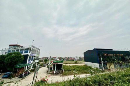 Bán đất 101m2 giá tốt tại Hùng An, Kim Động, Hưng Yên
