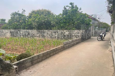 Một lô đất chính chủ full thổ cư tại Đông Tảo - Khoái Châu - Hưng Yên Giá 2x/m2 ( x tiểu học) inbox