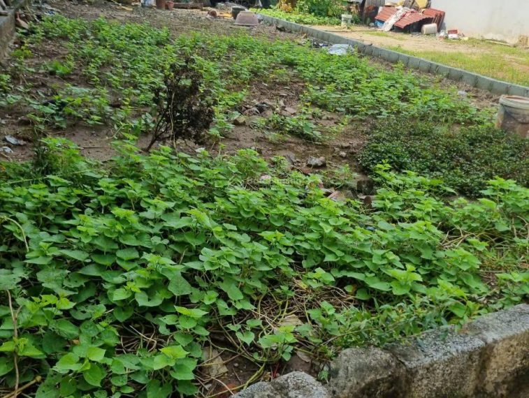 Cần bán gấp lô đất siêu đẹp tại Văn Giang, diện tích 111m2 giá siêu hợp lý