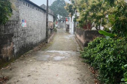 Bán gấp 549m thôn Hạ-An Vĩ-Khoái Châu giá siêu rẻ