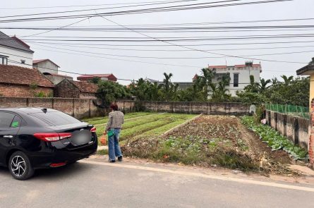 Cần bán 2 suất đất 128.6m2 và 125.1m2 ở Bãi Sậy 2 -Tân Dân - Khoái Châu - Hưng Yên