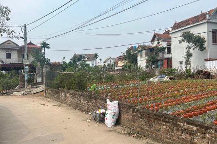 Bán Đất 106,5m² Gần Vành Đai 4 – Giá Chỉ Hơn 3 Tỷ, Cơ Hội Vàng Đầu Tư!