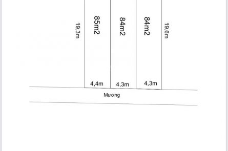 Bán đất 253m2 tại ĐT382, Đông Tảo, Khoái Châu, Hưng Yên, chia làm 3 lô bán cả hoặc bán lẻ từng lô