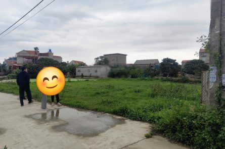 Chủ nhà cần bán 696m² đất tại xã Tiên Tiến, huyện Phù Cừ, Hưng Yên