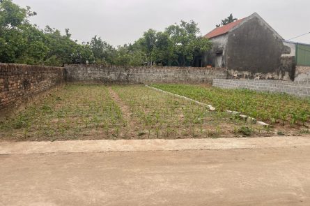 Siêu phẩm 550m2 đất full thổ cư giá chỉ 1x triệu/m2 đẹp nhất Đông Tảo