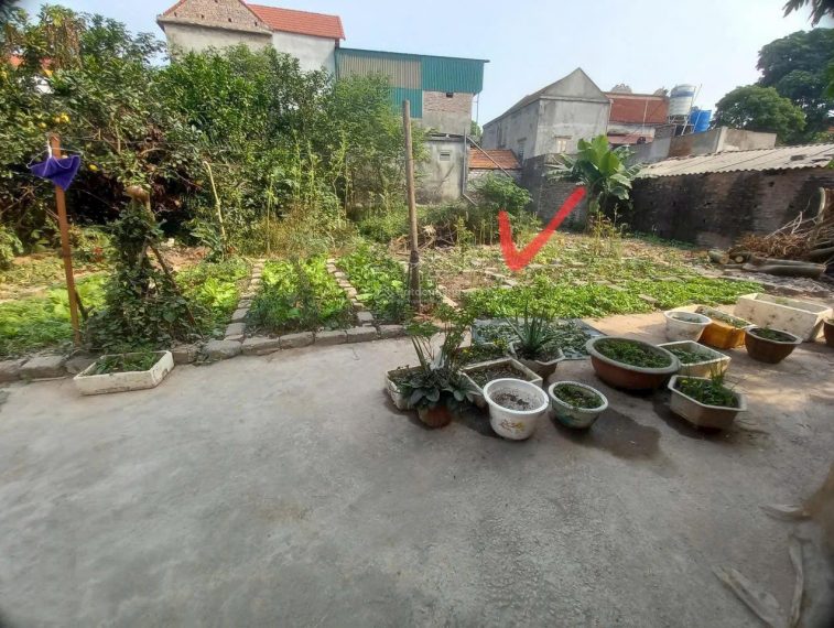 Cơ hội cực tốt, đầu tư ngay đất thổ cư tại Đại Tập, Khoái Châu, Hưng Yên cạnh sân golf Donald Trump
