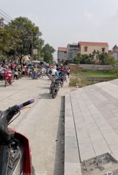 Cơ hội vàng: Bán 196m² đất vị trí đẹp hiếm có tại trung tâm Chỉ Đạo, Văn Lâm – Gần Ocean Park