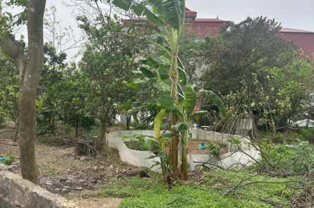 Lô đất mặt đường xã Hoàng Hoa Thám, gần ủy ban xa, mặt tiền 8,6m