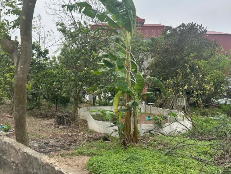 Lô đất mặt đường xã Hoàng Hoa Thám, gần ủy ban xa, mặt tiền 8,6m