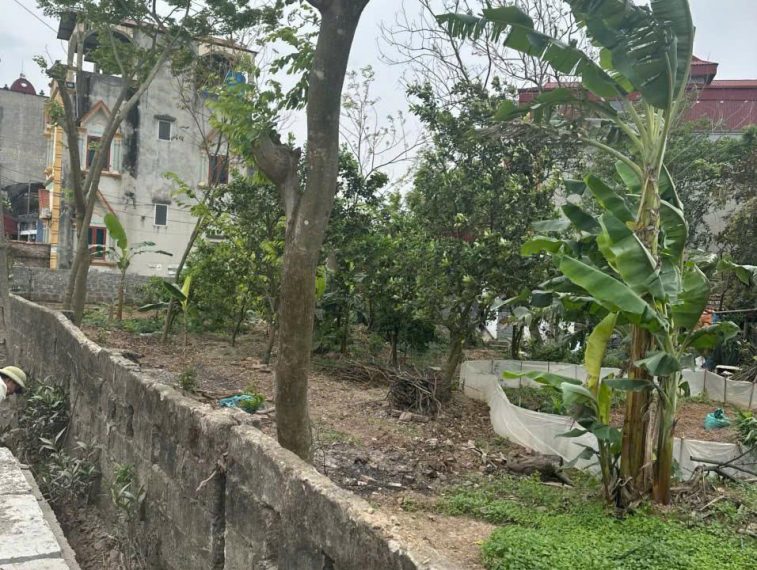 Lô đất mặt đường xã Hoàng Hoa Thám, gần ủy ban xa, mặt tiền 8,6m