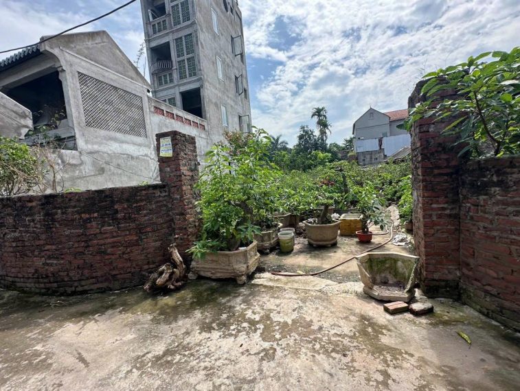 Chính chủ bán 245m2 full thổ cư ngõ thông tại Đan Kim, Liên Nghĩa, Văn Giang, Hưng Yên