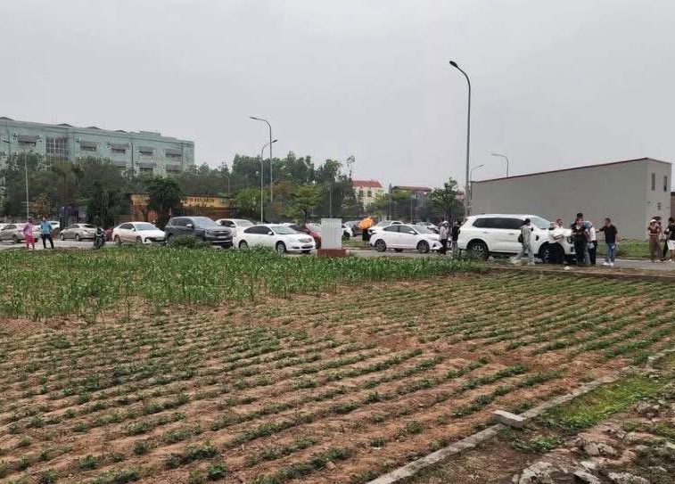Bán đất 135m2, 5 tỷ tại Quốc Lộ 39, Hiệp Cường, Kim Động, Hưng Yên hàng hot