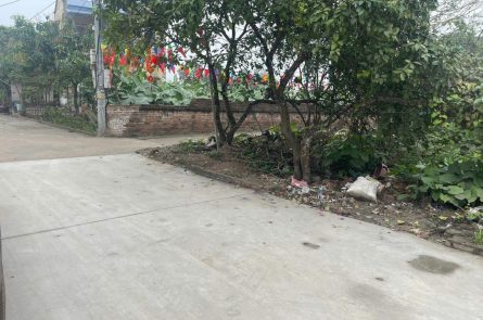 Bán lô góc 118m cực đẹp tại Đông Tảo, Khoái Châu