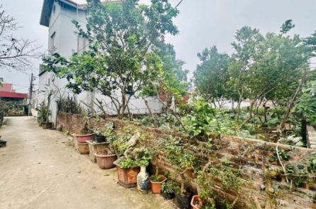 Tài chính 2tỷ1 sở hữu ngay mảnh đất tại Vĩnh Tuy- Liên Nghĩa- Văn Giang giáp đt 379 và cụm công ty