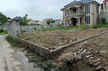 Bán đất 64.7m² tại Giai Phạm – Yên Mỹ, vị trí đẹp, giá tốt