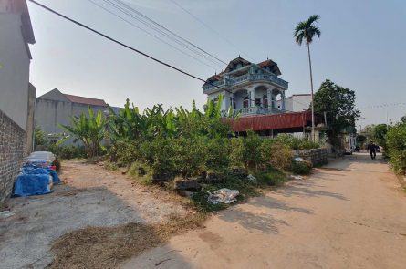 Cần bán 114m2 view hồ Bá Khê Liên Nghĩa, Văn Giang