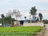 Bán đất 88m2 Siêu Đẹp Đông Tảo - Khoái Châu Sát chợ đầu mối chỉ với 2tỷ 332triệu