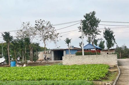 Bán đất 88m2 Siêu Đẹp Đông Tảo - Khoái Châu Sát chợ đầu mối chỉ với 2tỷ 332triệu