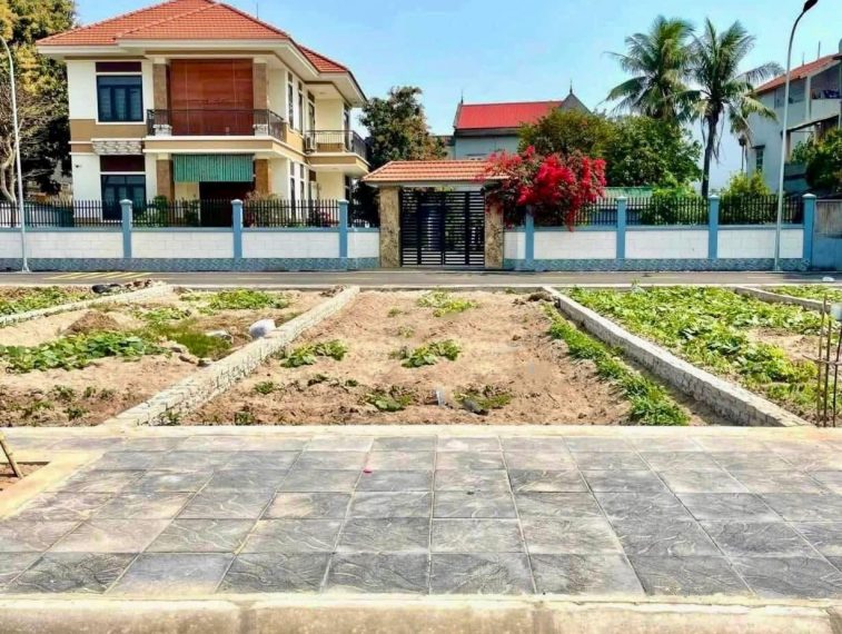 Chính chủ cần bán đất đấu giá 57m² rẻ nhất phiên tại Văn Lâm – Tiềm năng tăng giá mạnh