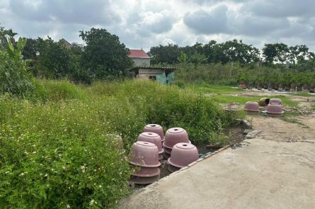 Bán đất siêu hot Thôn CD Quán Trạch, 72,8m² chỉ 2,475 tỷ – Giá cực hời!