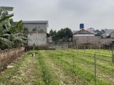 Bán đất 425m² full thổ cư, cách chợ Đông Tảo chỉ 200m – Đầu tư chia lô siêu đẹp